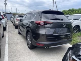 Mazda CX-8, 2019 0