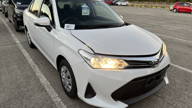 Toyota Corolla Axio, 2019