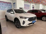 Haval F7, 2020 1