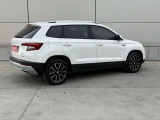 Skoda Karoq, 2020 0