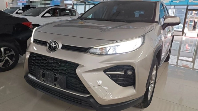 Toyota Wildlander, 2020